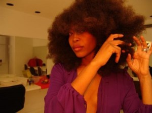 erykah_badu_20090701_1032067348